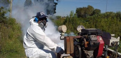 En las �ltimas 48 horas crecieron un 30% los casos de dengue en la Ciudad