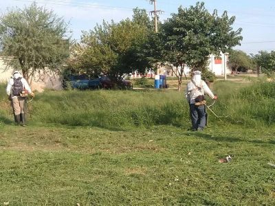 Refuerzan tareas de desmalezamientos, fumigaci�n y erradicaci�n de basurales