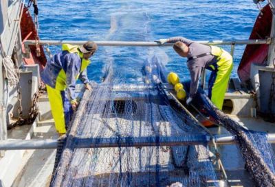 RepescaPlas aborda el reciclado qumico de la basura marina para la obtencin de combustible