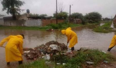Extrajeron m�s de 300 kilos de basura de los canales de desag�es