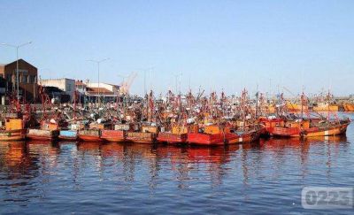 La pandemia redujo en un 30% la actividad de la pesca marplatense: las pymes piden ayuda para pagar sueldos