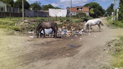 En plena pandemia, proliferan focos de basura en varios barrios