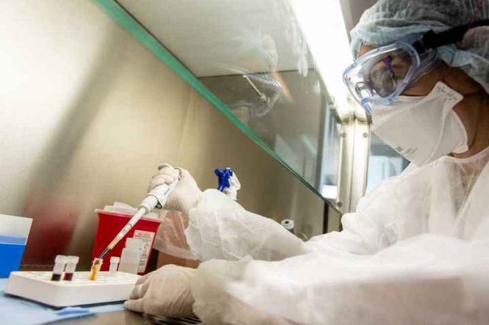 Coronavirus en Argentina: cientficos del Malbrn descifraron el genoma del Covid-19 local, clave para el desarrollo de una vacuna