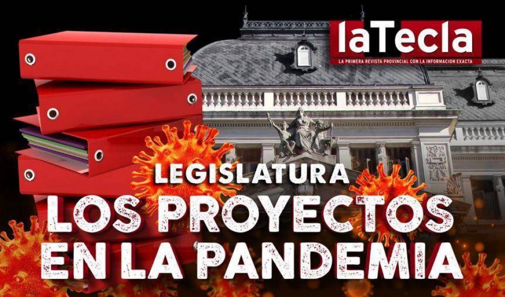 Legislatura: Los proyectos de la pandemia