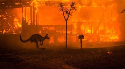 Francisco insiste en achacar la pandemia a una �respuesta� de la Naturaleza a la acci�n del hombre