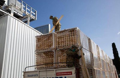 Fachinello destac� la capacidad de respuesta del sector maderero a la emergencia por el coronavirus