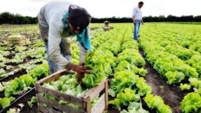 De productor a consumidor: La propuesta de los quinteros platenses para paliar la crisis