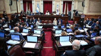 Cristina Kirchner le pedir� un aval legal a la Corte para que el Senado pueda sesionar por videoconferencia