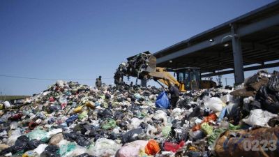 La cuarentena tambi�n dej� sin trabajo a la gente del basural: c�mo ayudar