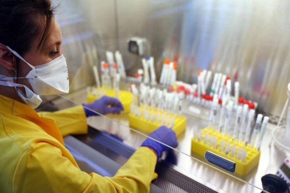 Un nuevo estudio sugiere que el coronavirus no es tan mortal como pens�bamos