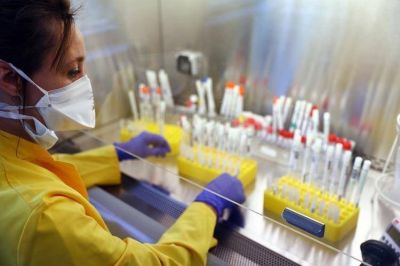 Un nuevo estudio sugiere que el coronavirus no es tan mortal como pens�bamos