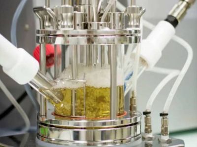 Una enzima descompone botellas pl�sticas en pocas horas