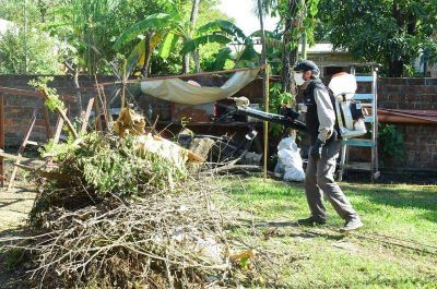 Operativo de descacharrizado y fumigaci�n en los barrios San Mart�n y Liborsi