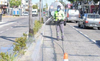 En la cuarentena, San Fernando mantiene el cuidado de sus espacios verdes