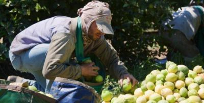 Escrachan a delegado de UATRE Tucum�n: 
