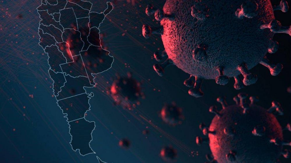 Coronavirus en Argentina: informe de la ma�ana del domingo 26 de abril