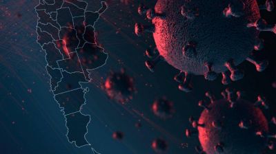 Coronavirus en Argentina: informe de la ma�ana del domingo 26 de abril
