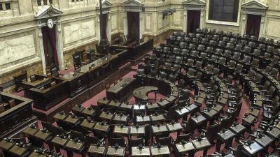 Las opciones que se barajan en Diputados para tener la primera sesi�n durante la pandemia