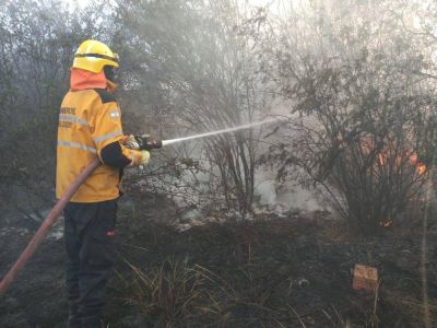 Otro incendio provocado por la quema de basura sobre ruta 38