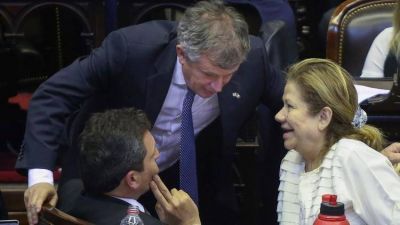 Un amplio sector de la oposici�n respald� la decisi�n de Sergio Massa de que Diputados sesione en forma virtual