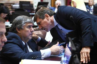 CFK convoca a los bloques mayoritarios para activar el Senado en casa