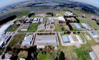 Por el aislamiento, las industrias trabajan al 50% de su capacidad 