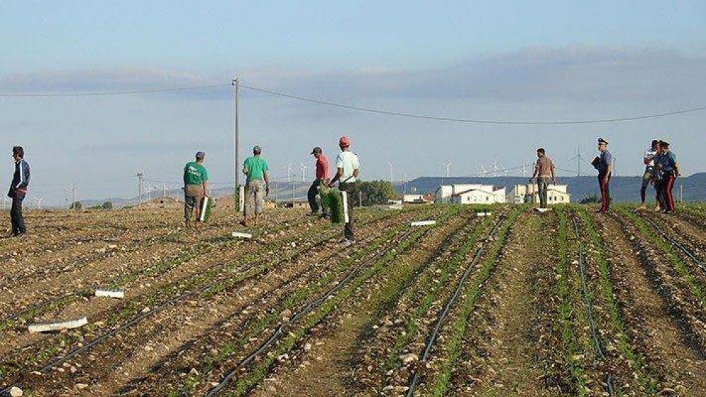 La cercan�a del Papa a los trabajadores explotados por el �caporalato�
