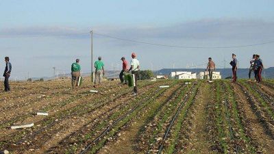 La cercan�a del Papa a los trabajadores explotados por el �caporalato�