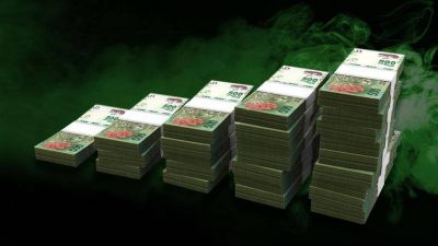 El Gobierno quiere fomentar el mercado de bonos en pesos: �Hay buenas oportunidades para los inversores?