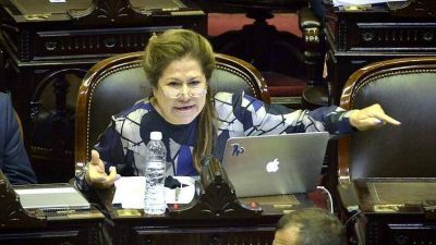 Graciela Cama�o present� un proyecto para prohibir las excarcelaciones de condenados por delitos graves
