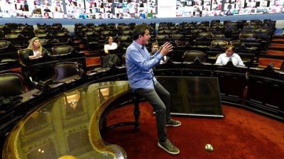 Coronavirus: Diputados se prepara para su primera sesi�n virtual de la historia