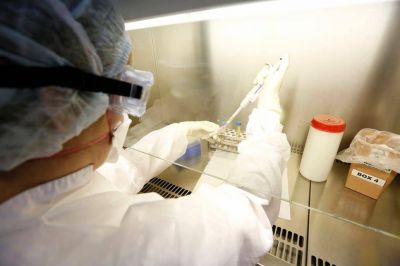 Coronavirus: la Argentina es uno de los pa�ses que menos testeos hacen en la regi�n