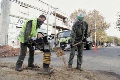 El Municipio contin�a con los operativos integrales de limpieza, bacheo y saneamiento h�drico