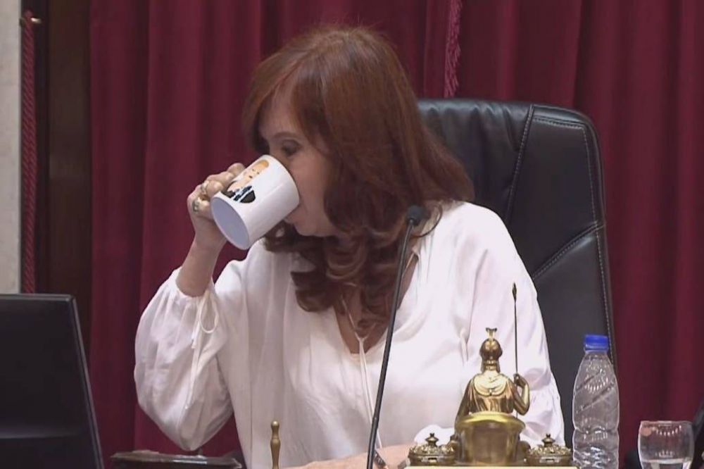 Coronavirus en la Argentina: Cristina Kirchner acept� los cambios de la oposici�n y el Senado sesionar� de manera virtual el 13 de mayo