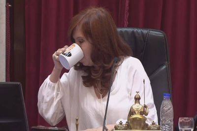 Coronavirus en la Argentina: Cristina Kirchner acept� los cambios de la oposici�n y el Senado sesionar� de manera virtual el 13 de mayo