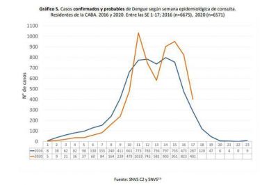 Dengue en CABA: los casos ya superan la �ltima epidemia pero el gobierno redujo las tareas de prevenci�n