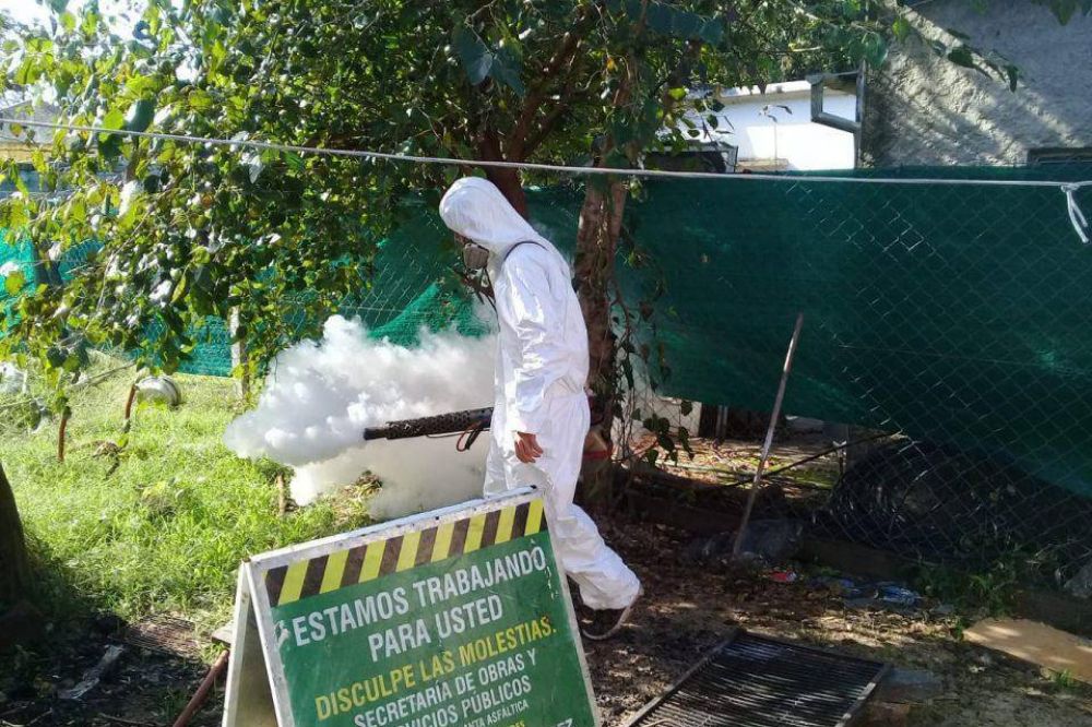 Merlo: Continan las fumigaciones para combatir el dengue