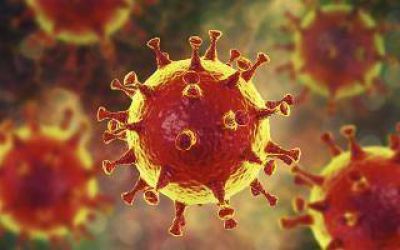 Cuatro nuevos casos de coronavirus en Lomas de Zamora: 52 en total