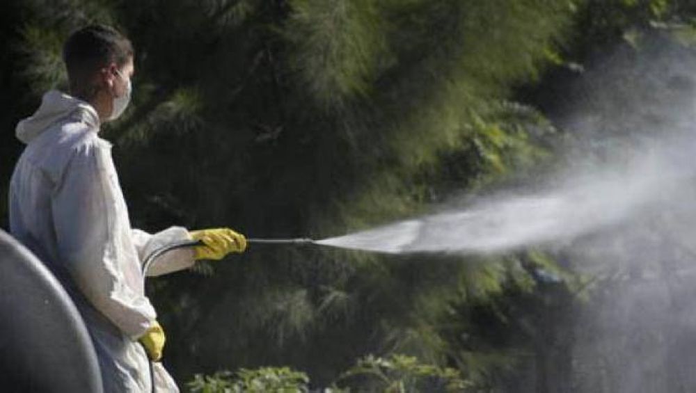 Se profundiza los trabajos de fumigacin contra el dengue en Morn