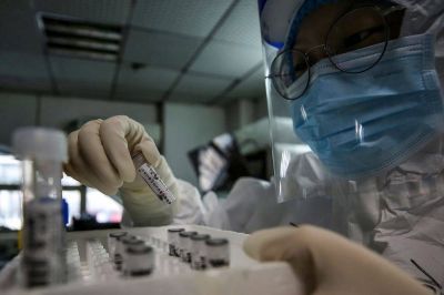 La visi�n del Gobierno sobre la pol�mica por los tests de coronavirus