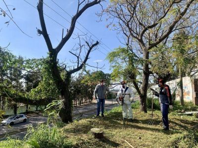 El Municipio limpi� un predio que generaba preocupaci�n entre los vecinos