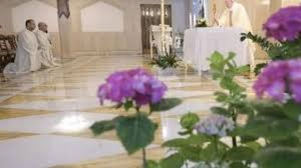 El Papa reza por las enfermeras, ejemplo de hero�smo. La paz de Jes�s nos abre a los dem�s