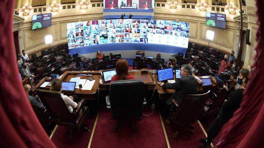 Diputados y Senado tendrn su primeras sesiones virtuales