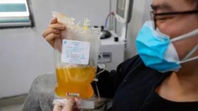 Cu�l es la estrategia de un grupo de economistas para garantizar plasma convaleciente a todos los pacientes que lo necesiten
