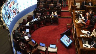 Por primera vez en la historia, Diputados y Senado realizaron sesiones virtuales