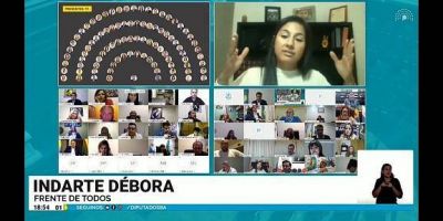 Fuerte presencia de diputados seccionales del Frente de Todos en la primera sesi�n virtual