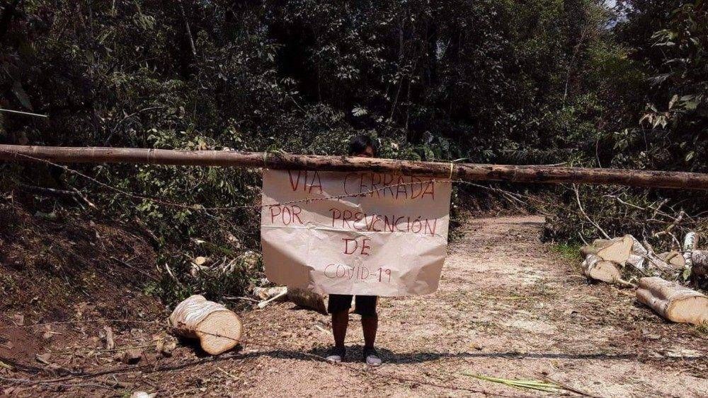 La REPAM llama a una accin urgente para evitar tragedia en la Amazonia