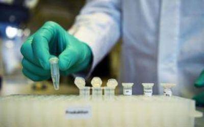 San Vicente: El distrito bonaerense con m�s casos de coronavirus por habitantes