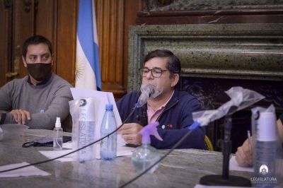 Reuni�n de comisiones en la Legislatura porte�a para resolver un litigio