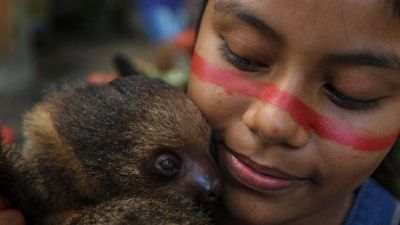 Una gu�a de estudio para dialogar sobre �Querida Amazonia�